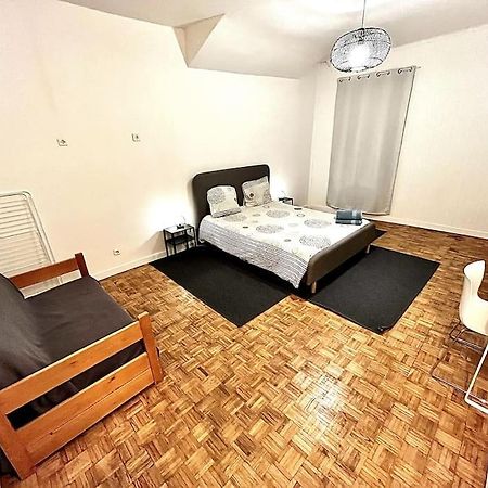 Grenoble Hypercentre - Appartement Vieille Ville - Wifi Eksteriør billede