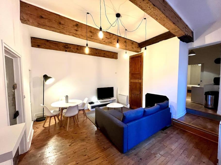 Grenoble Hypercentre - Appartement Vieille Ville - Wifi Eksteriør billede